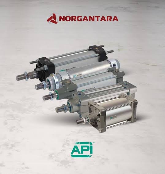 Produk Pneumatic Api